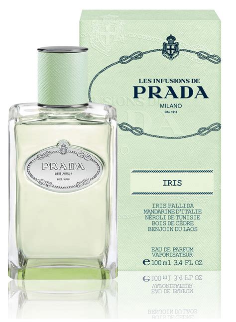 Prada perfume infusion d'iris review